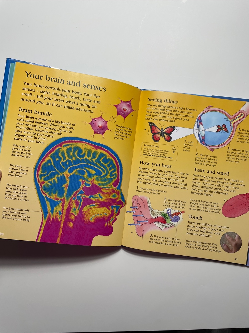 🍋 4/$20 Usborne First Encyclopedia of Science | Kids Books, Childrens Book - Picture 4 of 4